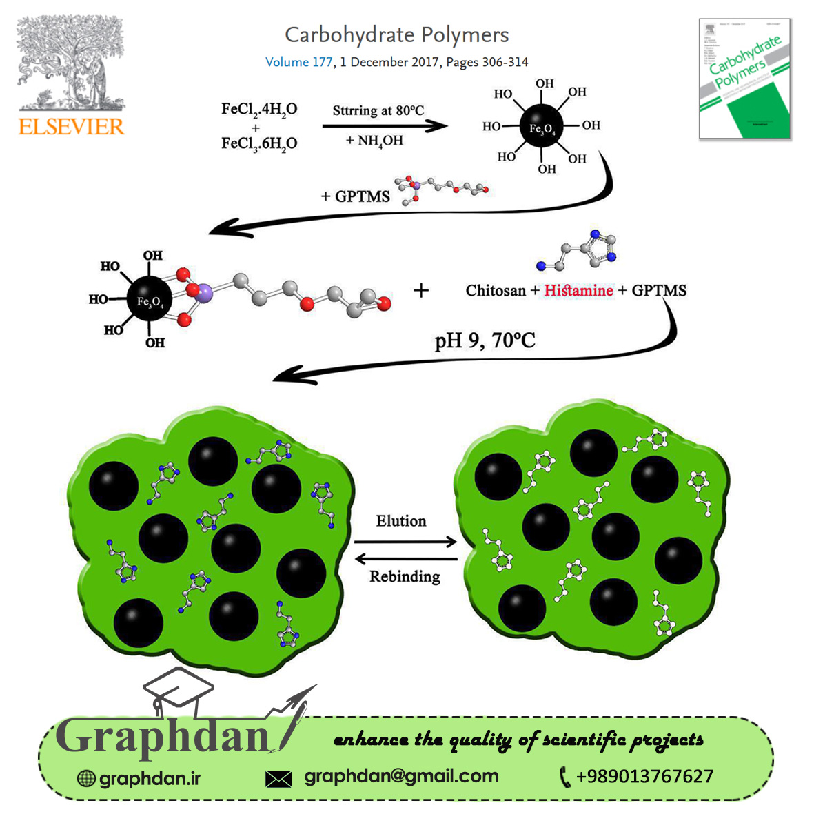 carbohydrate polymer graphical abstract